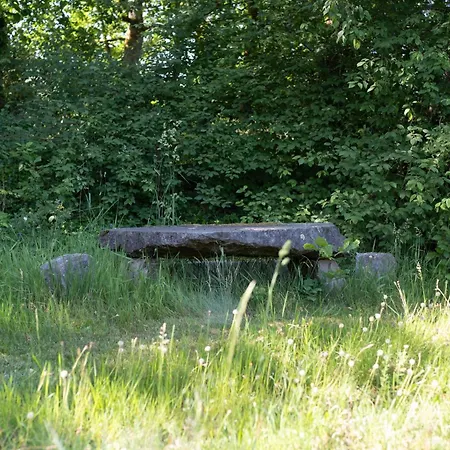 Et Etang De Peche, Vosges * Vagney