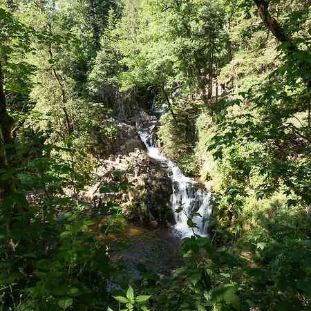 Et Etang De Peche, Vosges Vagney